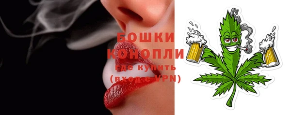 стаф Новодвинск