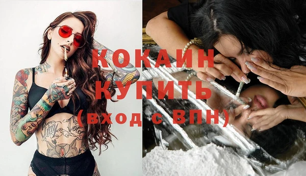 стаф Новодвинск