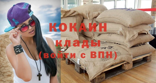 стаф Новодвинск