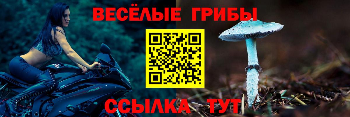 Галлюциногенные грибы MAGIC MUSHROOMS Советский